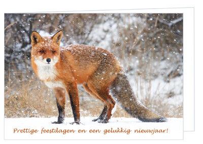 Kerstkaarten met dieren |  Vos kerstkaart