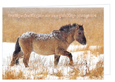 Luxe kerstkaart konik paard - dubbele kaart met envelop