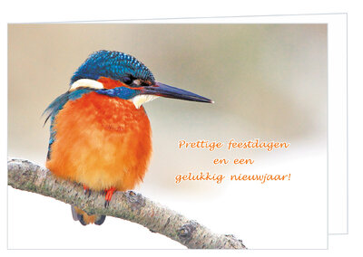 Kerstkaart met vogels | ijsvogel