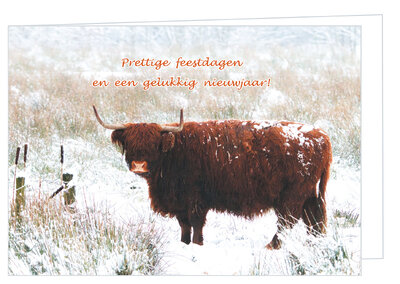 Kerstkaarten met dieren | Schotse hooglander kerstkaart