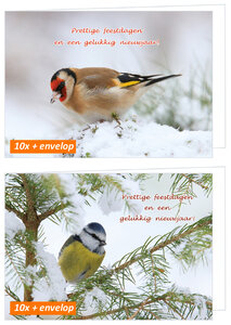 20 luxe kerstkaarten vogels