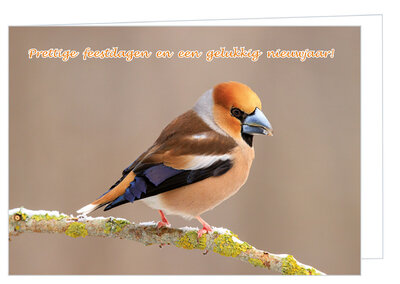 Luxe kerstkaart vogels | appelvink