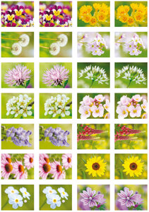 Beloningsstickers bloemen - 28 stickers op een vel