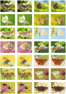 Beloningsstickers vlinders - ideaal voor kinderen op school