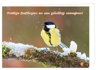 Luxe kerstkaart vogels | koolmees - dubbele kaart met envelop