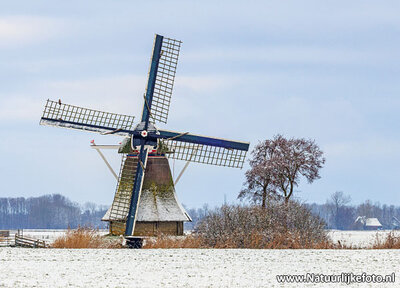 ansichtkaart Broekmolen in Broeksterwoude