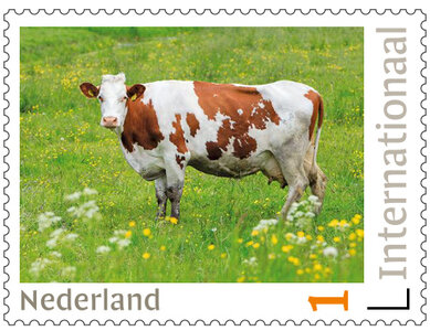 Internationale postzegels - 5x koe