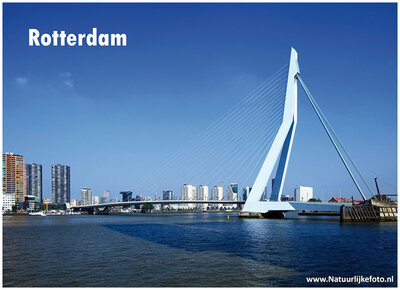 Ansichtkaarten Rotterdam Erasmusbrug