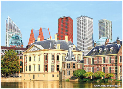 Ansichtkaart Den Haag Mauritshuis en Torentje