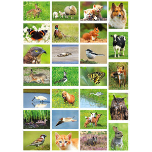 ansichtkaarten dieren - set met 26 kaarten