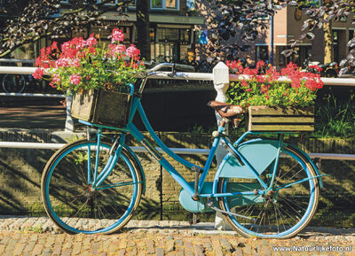 ansichtkaart blauwe fiets met bloemen