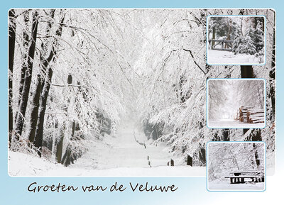 Ansichtkaart Veluwe in de winter