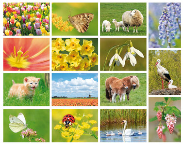 Lente kaarten | ansichtkaarten set lente