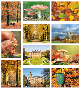 Herfst kaarten set | ansichtkaarten herfst