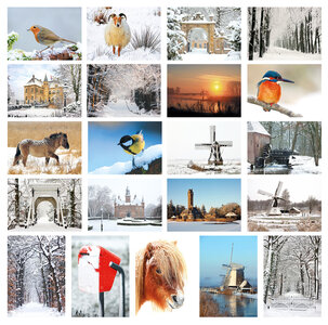 Kaartenset winter