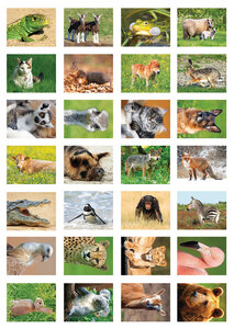 Beloningsstickers school | dieren stickervel