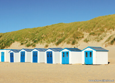 ansichtkaart strandhuisjes op Texel