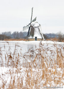 ansichtkaart Ypey molen - Ryptsjerksterpolder
