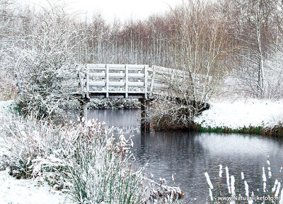 ansichtkaart bruggetje in de winter