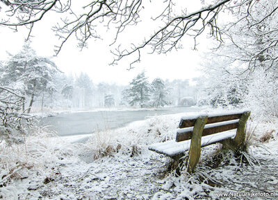 ansichtkaart Freulevijver in de winter