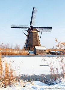 ansichtkaart molen van Kinderdijk