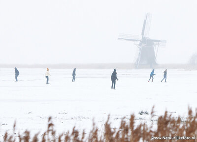 Ansichtkaart Ypey molen met schaatsers
