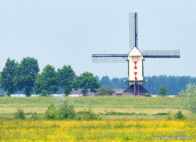 ansichtkaart standerdmolen Batenburg