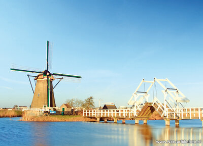 ansichtkaart molen met bruggetje in Kinderdijk