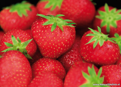 ansichtkaart aardbeien