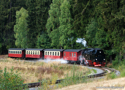 ansichtkaart trein Selketalbahn in de Harz