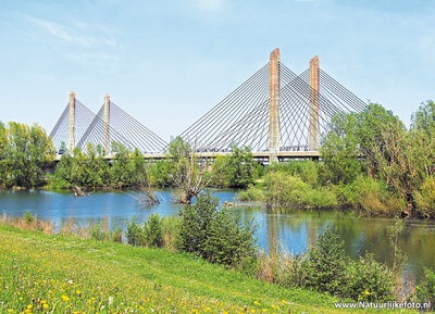 ansichtkaart Martinus Nijhoff brug - Zaltbommel