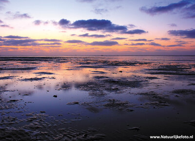 ansichtkaart Waddenzee - werelderfgoed