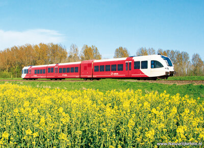 ansichtkaart Arriva trein met koolzaadveld