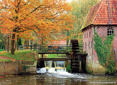 ansichtkaart Berenschot's watermolen in Winterswijk