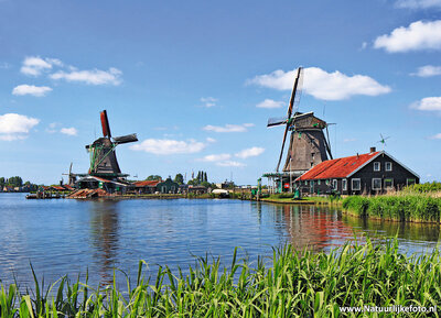 ansichtkaart de Zaanse Schans
