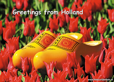ansichtkaart klompen in een rood tulpenveld