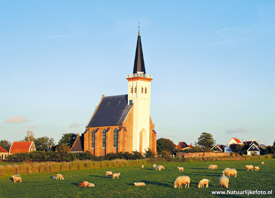 ansichtkaart kerkje den Hoorn op Texel