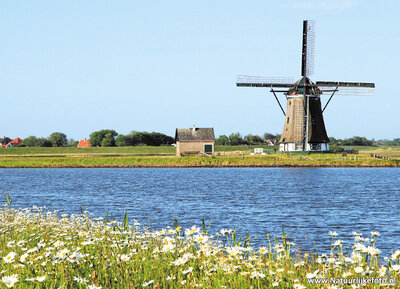 ansichtkaart molen het Noorden op Texel
