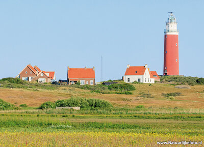 ansichtkaart vuurtoren van Texel