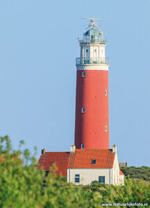 ansichtkaart vuurtoren van Texel