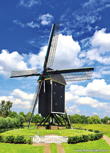ansichtkaart molen 't Vliegend Hert in Brielle
