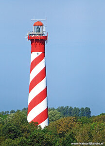 ansichtkaart vuurtoren Westerlicht - Burgh-Haamstede