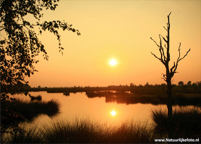 ansichtkaart zonsondergang Dwingelderveld