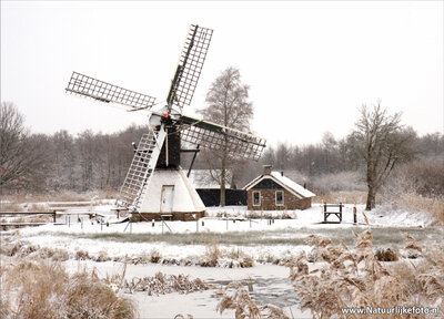 ansichtkaart spinnekopmolen de Wicher