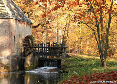 ansichtkaart watermolen Hackfort in Vorden