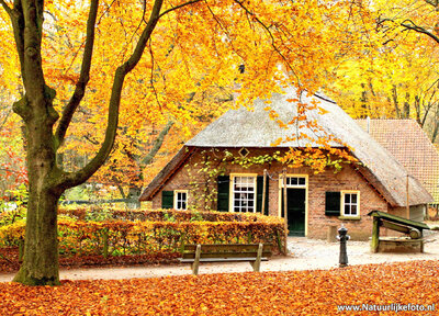 ansichtkaart kleine boerderij in de herfst