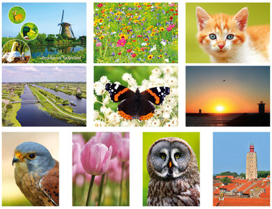 Postcrossing kaarten