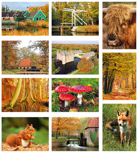 herfst kaartenset 