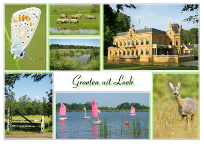 Ansichtkaart Leek