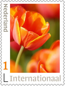 Internationaal postzegels - 5 x tulpenveld